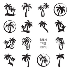 Black vector palm tree icons big collection