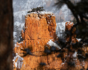 winter landscape of bryce canyon national park; freezing cold red rocks covered with snow, winter...