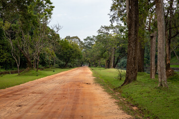 Fototapeta na wymiar Forest path to Sigiriya Lion Rock Fortress in Sri Lanka.