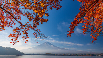 河口湖　富士山　紅葉　早朝　絶景