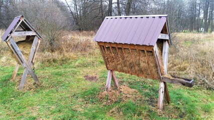 Feeders for wild animals are placed on the grassy lawn at the edge of the forest. The feeders are...