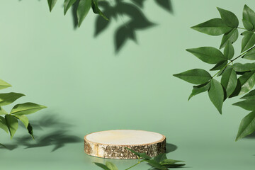Wood slice podium on green background for cosmetic product mockup