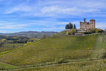 Fototapeta na wymiar The castle of Grinzane Cavour surrounded by vineyards