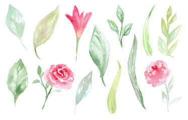 Set of watercolor leaves and flowers.Illustration in PNG format