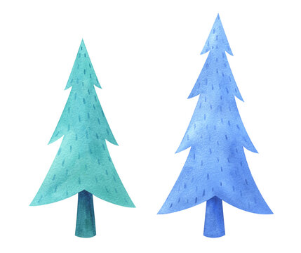 Winter firs watercolor clipart. Illustration of a Christmas tree in the snow. A plant for the winter landscape of the park. Isolated image of blue and green wood, hand-painted