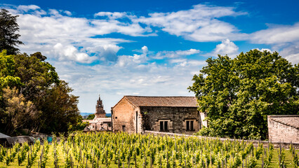 Maison dans les vignes, domaine viticile