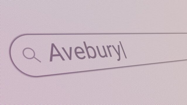 Search Bar Avebury 
Close Up Single Line Typing Text Box Layout Web Database Browser Engine Concept