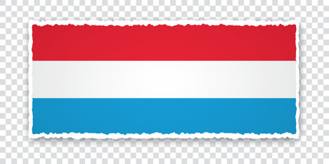 vector illustration of torn paper banner with flag of Luxembourg on transparent background