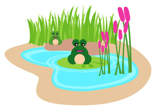 Kiddies cartoon illustration of frogs in the pond
