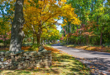 Autumn Stone Wall