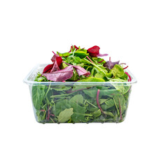 iettuce leaves in a plastic box isolate. Salad mix in a box.. 