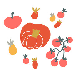 Tomatoes hand drawn in flat style. Pink, red cherry tomatoes in a naive style. Simple vector set.