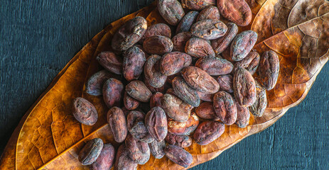 Top view of dried brown cocoa beans on cocoa leaves, raw material for making chocolate.
