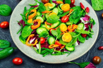 Bright vegetable salad, vegetarian food
