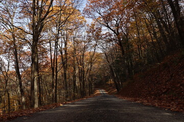 Signs of winter are showing boldly.