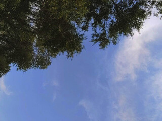 Obraz premium sky and clouds