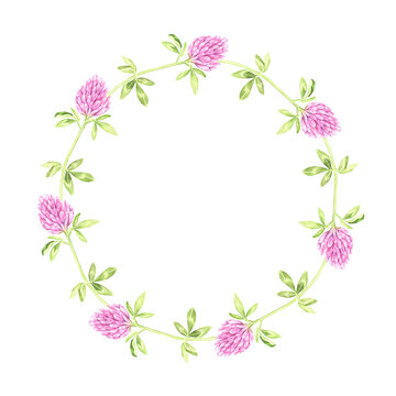 Round wreath of blooming clover. St.Patrick 's Day. Watercolor illustration. Isolated on a white background.For your design packages of seeds, goods for a garden, stickers, organic products, stickers