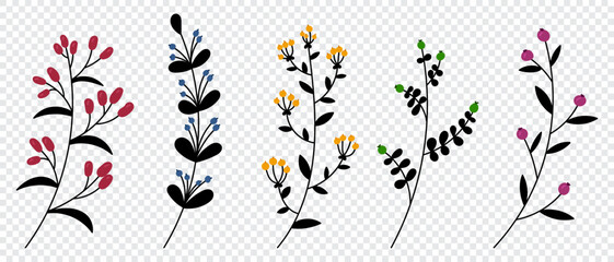 Set of vector plants and herbs. Hand drawn floral elements. Silhouettes of natural elements for seasonal backgrounds. Doodle style. Vector illustration