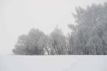 waiting for white christmas evening