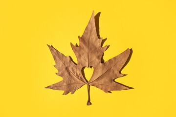 Dry maple leaf with a cut out heart in the middle on a yellow background. Flat lay.