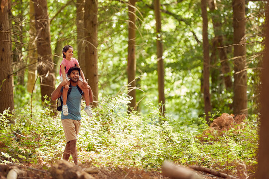 Father Carrying Daughter On Shoulders Hiking Or Walking Through Woodland Countryside