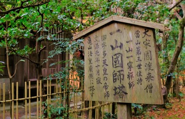 南禅寺，絶景，秋，紅葉，名庭・文化財，京都，お寺, 風景, 旅行, 建築, 自然, 木,