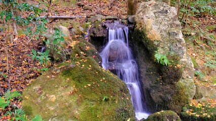 南禅寺，絶景，秋，紅葉，名庭・文化財，京都，お寺, 風景, 旅行, 建築, 自然, 木,