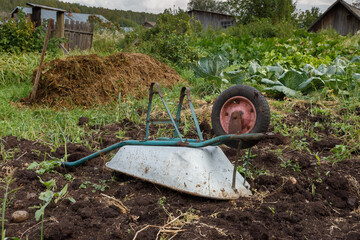 overturned wheelbarrow in the garden. wheelbarrow lying on the ground. Wheel on top.