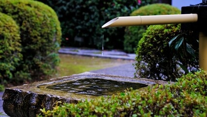 日本庭園, 庭園，緑, 水, 木，自然，回遊式庭園, 公園, 草, 風景