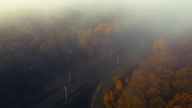 Aerial drone view of train going through foggy autumn forest. 4k footage