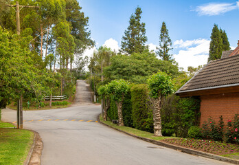 Tree-lined streets in Campos do Jordão, Brazil