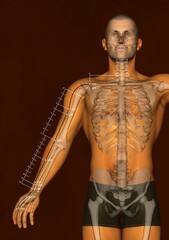 Drawing Lung Meridian (Lung Channel)