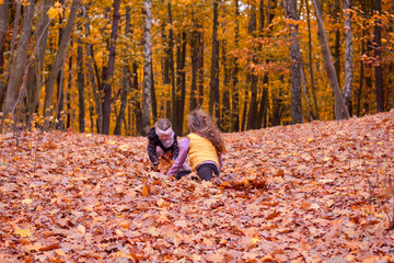 Fototapeta premium Full of joy and fun photo of children (girls) playing with leaves in an autumn forest. Shallow depth of field.
