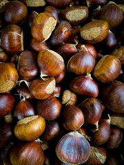 Fresh sweet edible chestnuts close-up