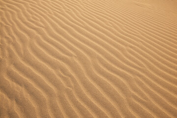 Fototapeta na wymiar A beautiful sand texture. A wavy desert background. A sand dune backdrop