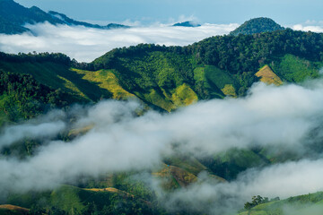 fog in the mountains