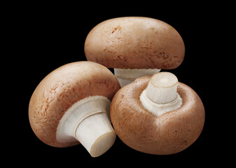 Gourmet mushrooms close-up, isolated on black background