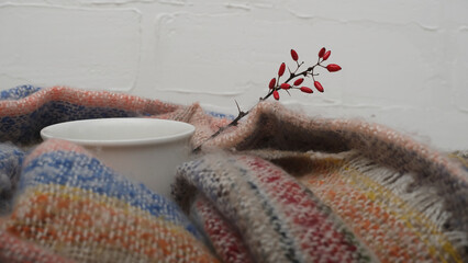 White cup, warm scarf and barberry branch. Cozy still life.