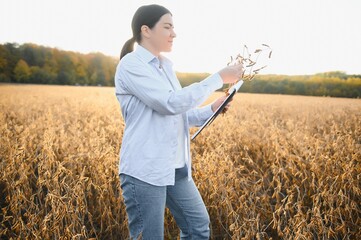 Caucasian female farm worker inspecting soy at field summer evening time somewhere in Ukraine