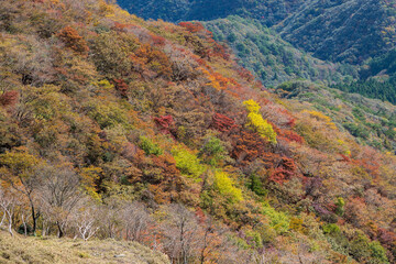 竜ヶ岳に見る紅葉の鈴鹿山脈