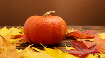 An orange ripe pumpkin lies on yellow and red autumn fallen leaves on a wooden background.