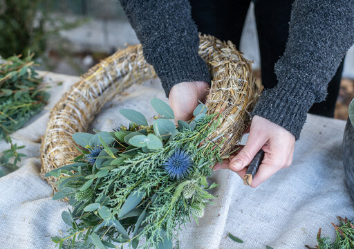 Kranz binden mit Eukalyptus, Distel, Mimose und Zypresse, Adventskranz selber machen, moderne Dekoration f&uuml;r Weihnachten
