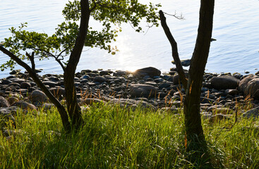 Landscape in the nature conservation area by the sea