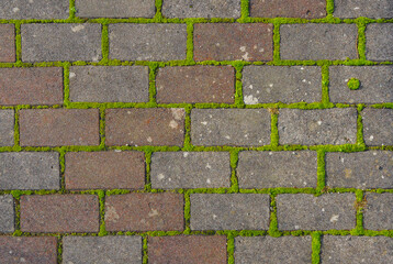 Brick structure with green moss....