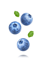 Blueberry berries isolated on white or transparent background. 