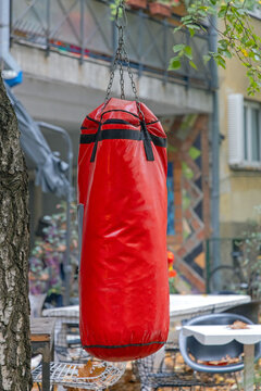 Red Punching Bag Sports