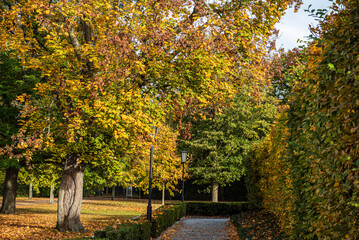 Naklejka premium Tiergartens, Berlin, walk at the end of the summer