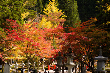高野山の秋風景