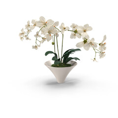 white orchid in a vase