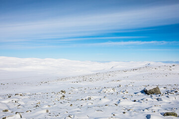 Fototapeta na wymiar Winter landscape in Dovrefjell National Park, Norway